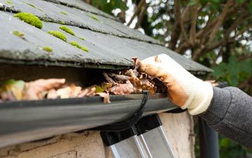 gutter cleaning Meadowtown, Shropshire