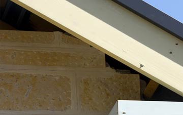 soffit repair Meadowtown
